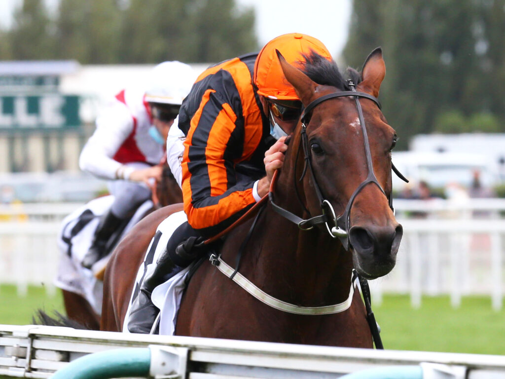 แคสเตอร์สร้างความสุข