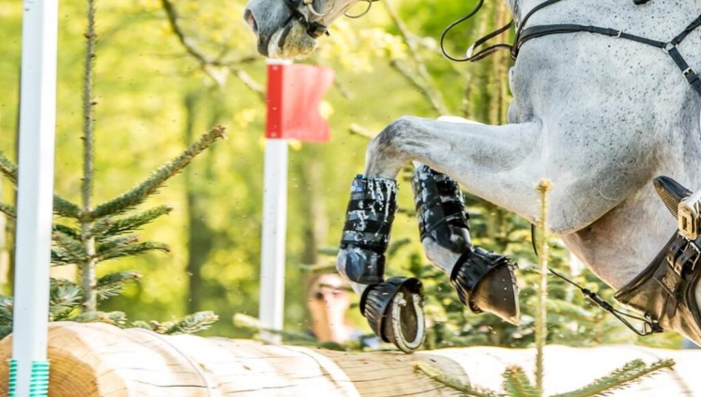 ยกเลิกการแข่ง