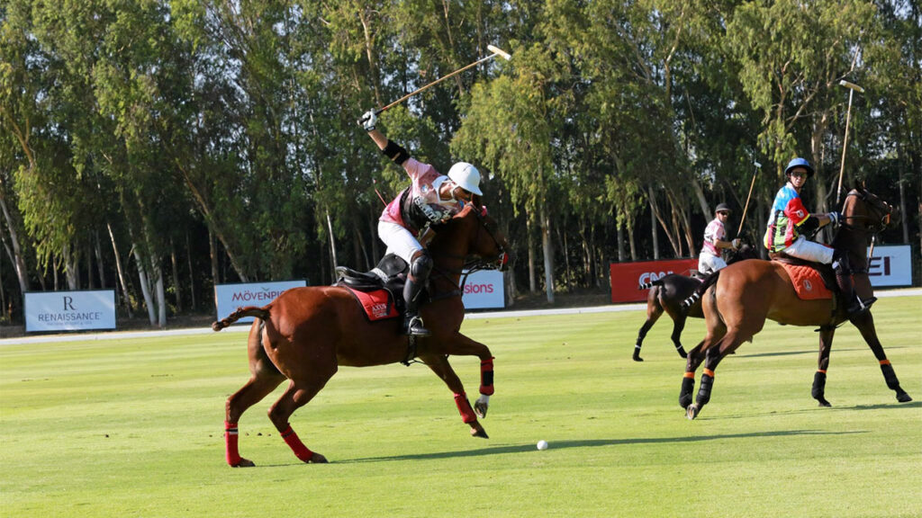 ระยะทางแต่ละซีกโลก